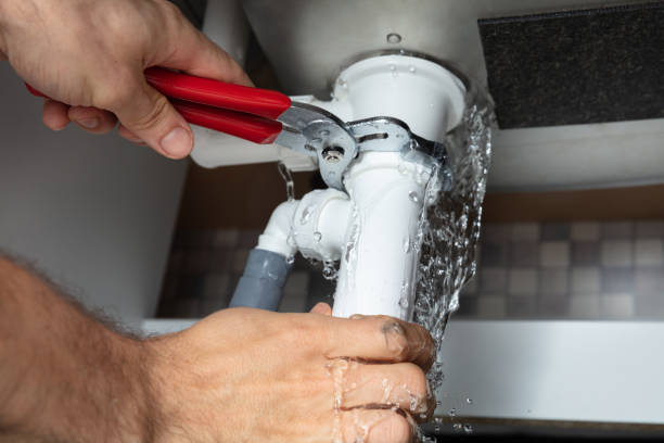 Best Mold removal after water damage  in Beesleys Point, NJ