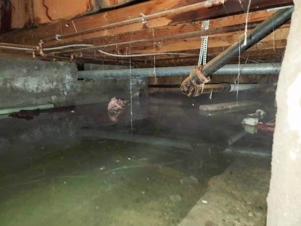 Best Flooded house restoration  in Beesleys Point, NJ