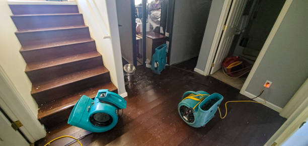 Best Fire Damage Restoration  in Beesleys Point, NJ