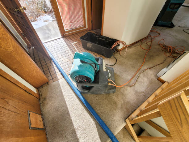 Best Water damage mitigation services  in Beesleys Point, NJ