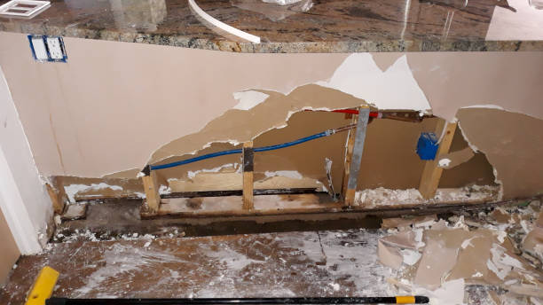 Best Flood damage cleanup  in Beesleys Point, NJ
