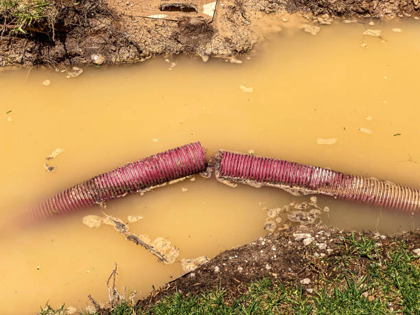 Best Professional water damage repair  in Beesleys Point, NJ